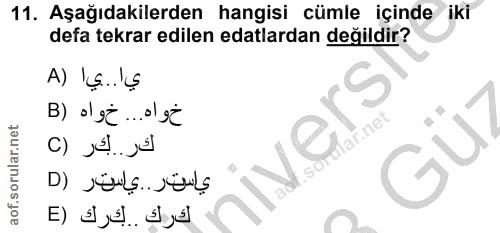 Soru 11
