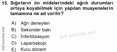 Soru 15