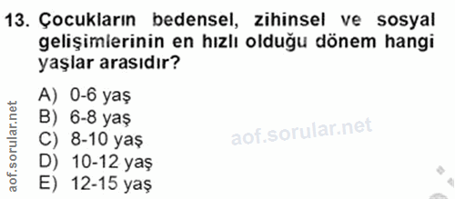 Soru 13