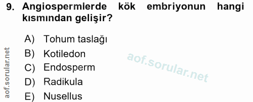 Soru 9