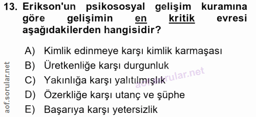 Soru 13