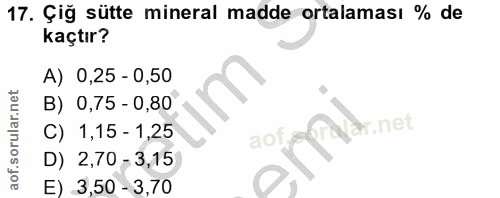 Soru 17