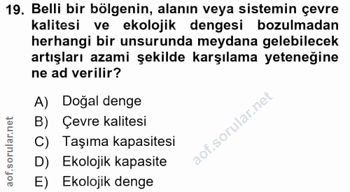 Soru 19