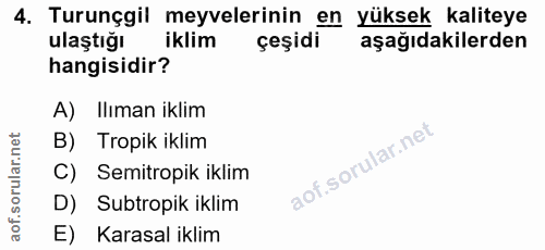 Soru 4