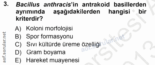 Soru 3