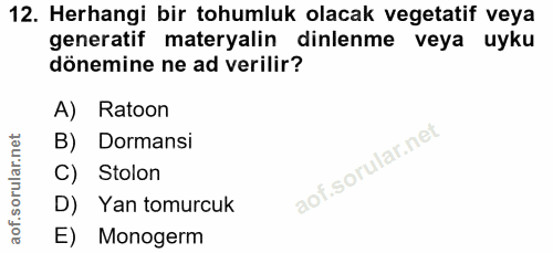Soru 12