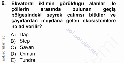 Soru 6