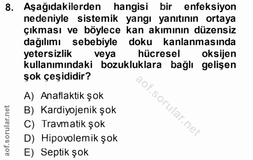 Soru 8