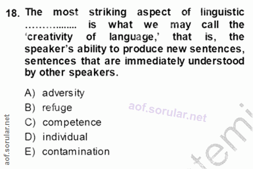 Soru 18
