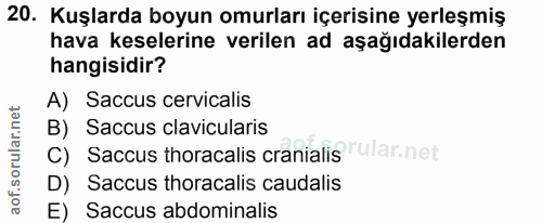 Soru 20