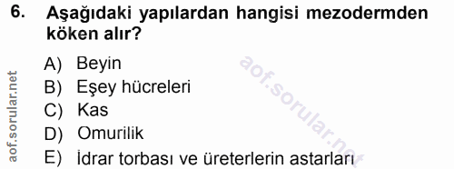Soru 6