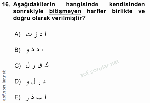 Soru 16