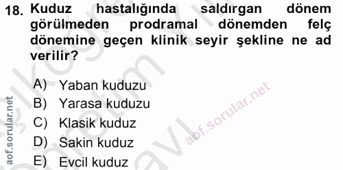 Soru 18