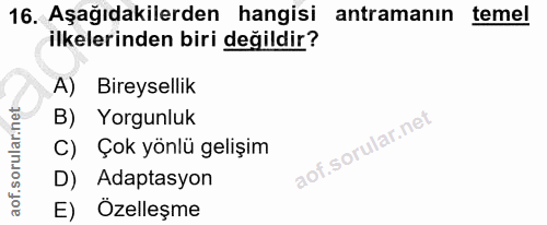 Soru 16