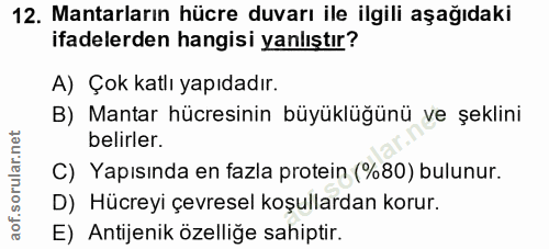 Soru 12