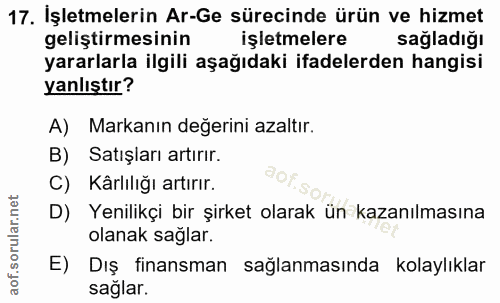 Soru 17
