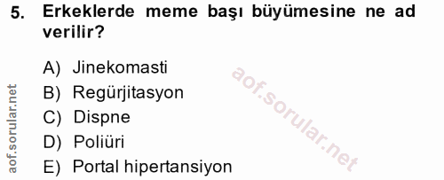 Soru 5