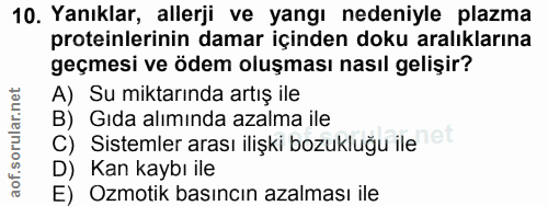Soru 10