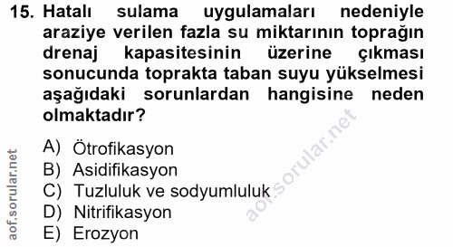 Soru 15