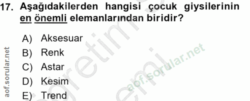 Soru 17