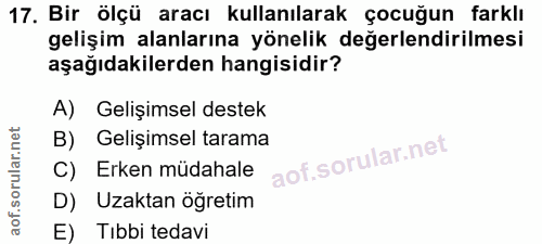 Soru 17
