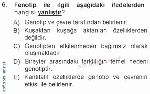 Soru 6