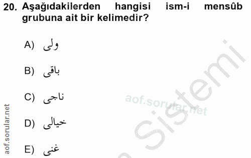 Soru 20