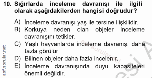 Soru 10