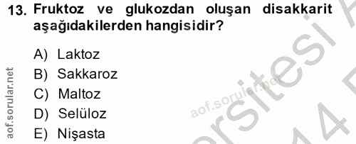 Soru 13