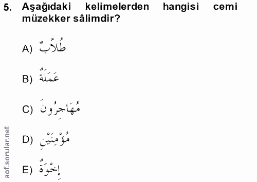Soru 5
