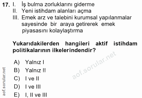 Soru 17