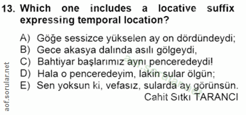 Soru 13