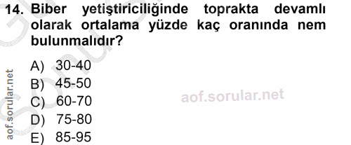 Soru 14
