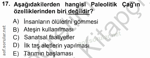 Soru 17