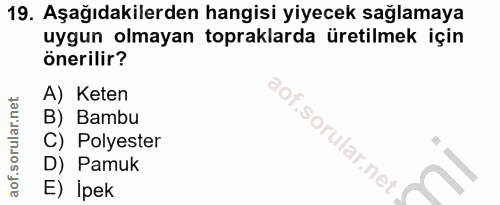Soru 19