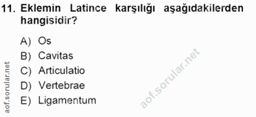 Soru 11
