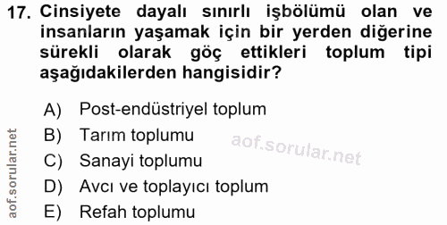 Soru 17