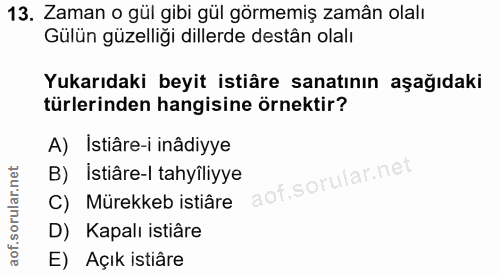 Soru 13
