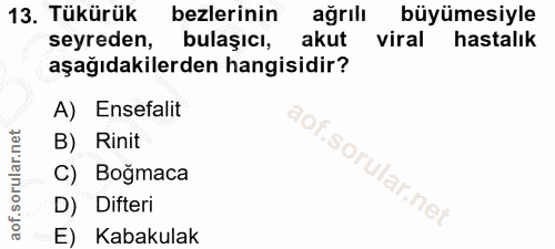 Soru 13