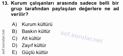 Soru 13