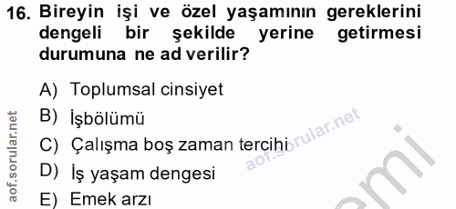 Soru 16