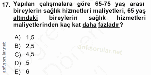 Soru 17
