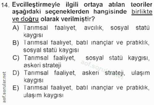 Soru 14
