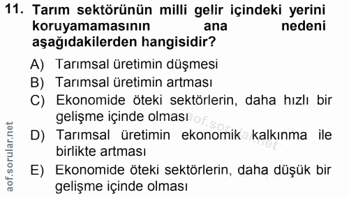 Soru 11