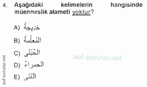 Soru 4
