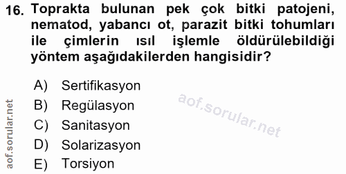 Soru 16