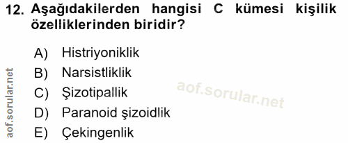 Soru 12