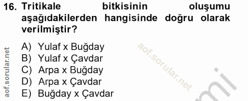 Soru 16