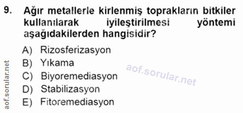 Soru 9