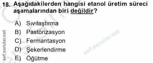 Soru 18